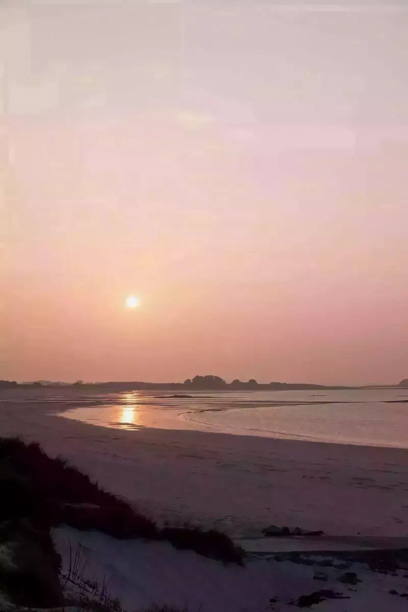 Coucher de soleil rose sur la plage à marée basse
