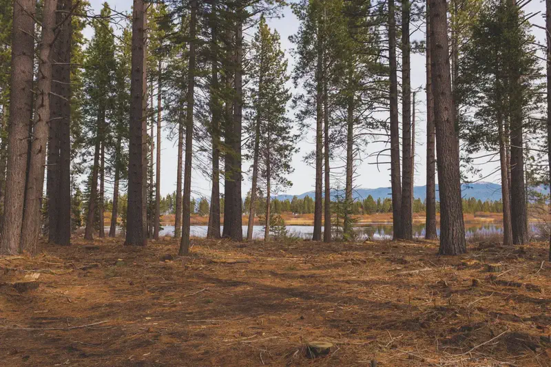 South Lake Tahoe 14