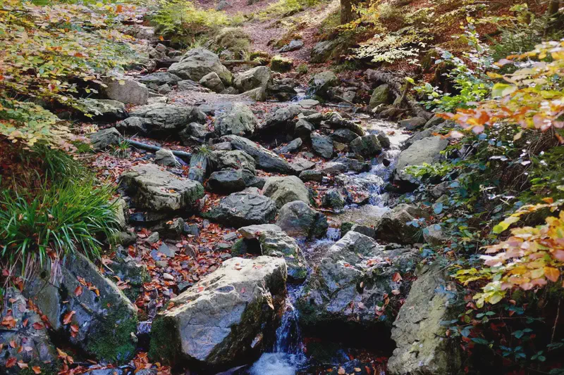 Dscf8672