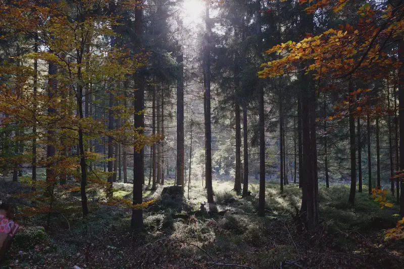 DSCF8736.webp